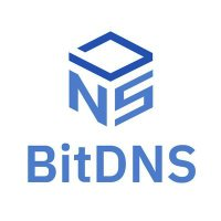 DNS,BitDNS