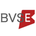 BVSE,品值鏈,BVSE