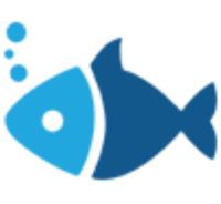 IFISH,iFish Coin