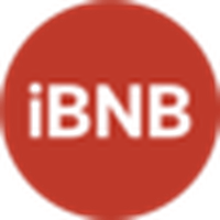 iBNB,Synth iBNB
