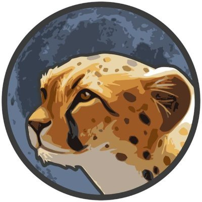 Cheetah token