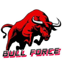 Bull Force Token