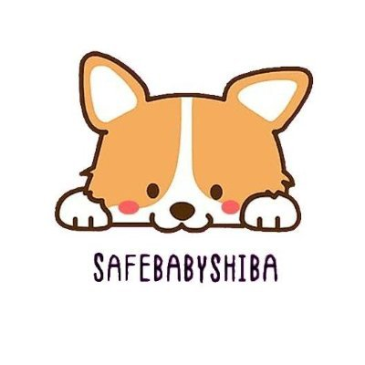 Safe Baby Shiba