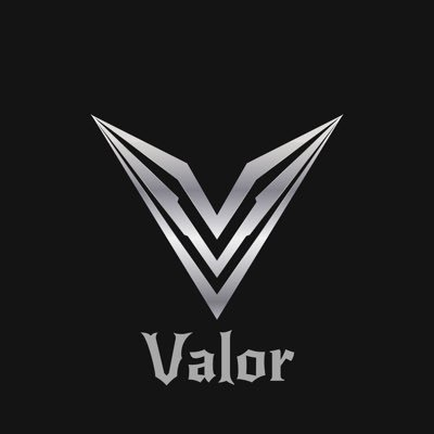 ValorFoundation