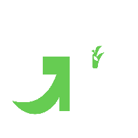 Go Driving