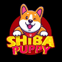 Shiba Puppy