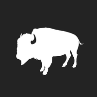 Buffalo Coin