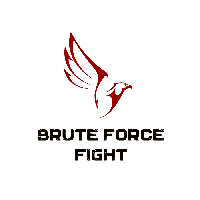BruteForceFight